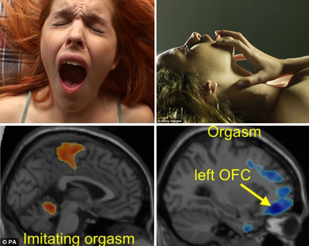 Orgasme tidak Selalu karena `Ukuran`